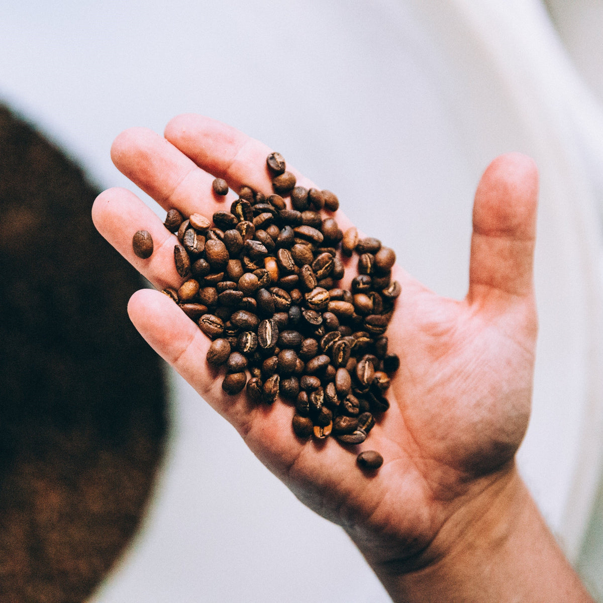 Coffee Beans